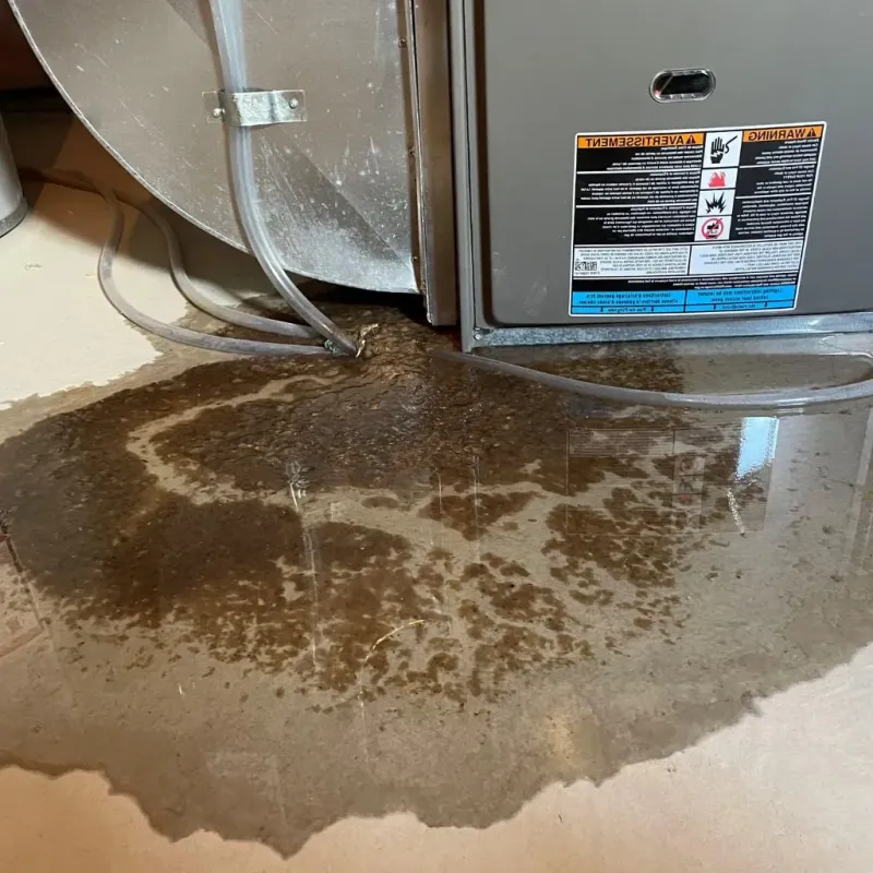 Pipe Burst and Leak Restoration in Carbon County, MT